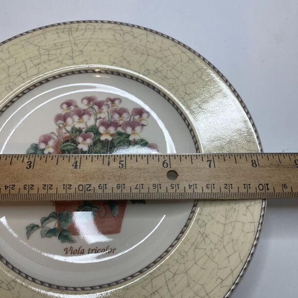 Set of 4 Wedgwood Sarah's Garden Salad Plates - One of Each Color 8 1/4” - Picture 14 of 14